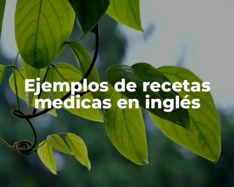 Ejemplos de recetas medicas en inglés