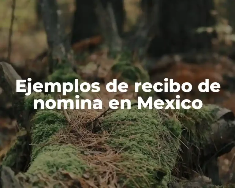Ejemplos de recibo de nomina en Mexico