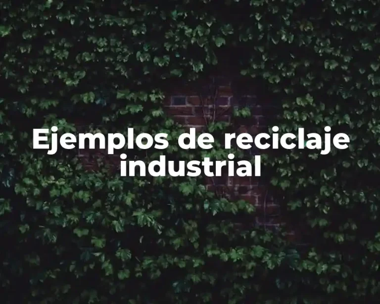 Ejemplos de reciclaje industrial