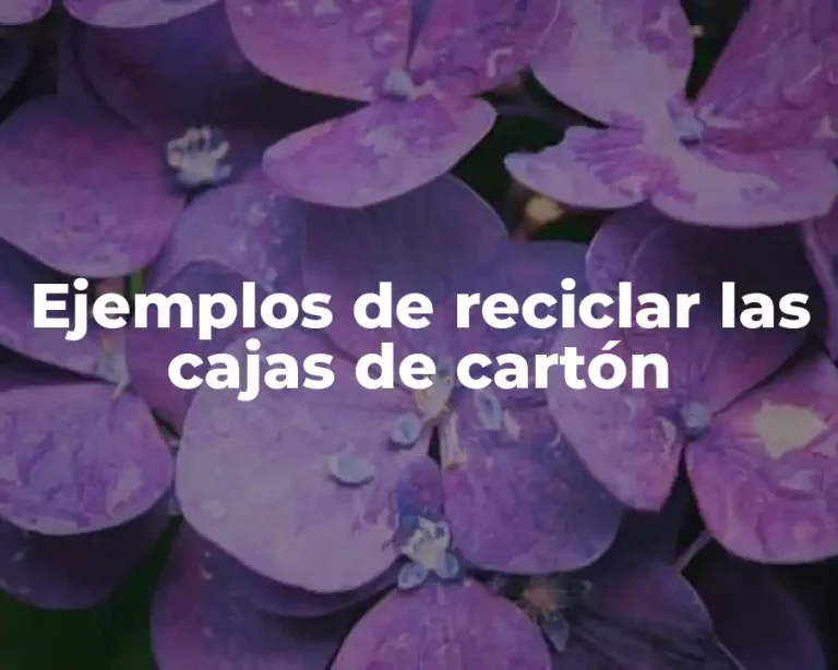 Ejemplos de reciclar las cajas de cartón