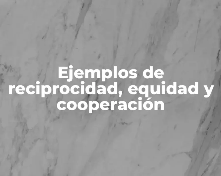 Ejemplos de reciprocidad, equidad y cooperación