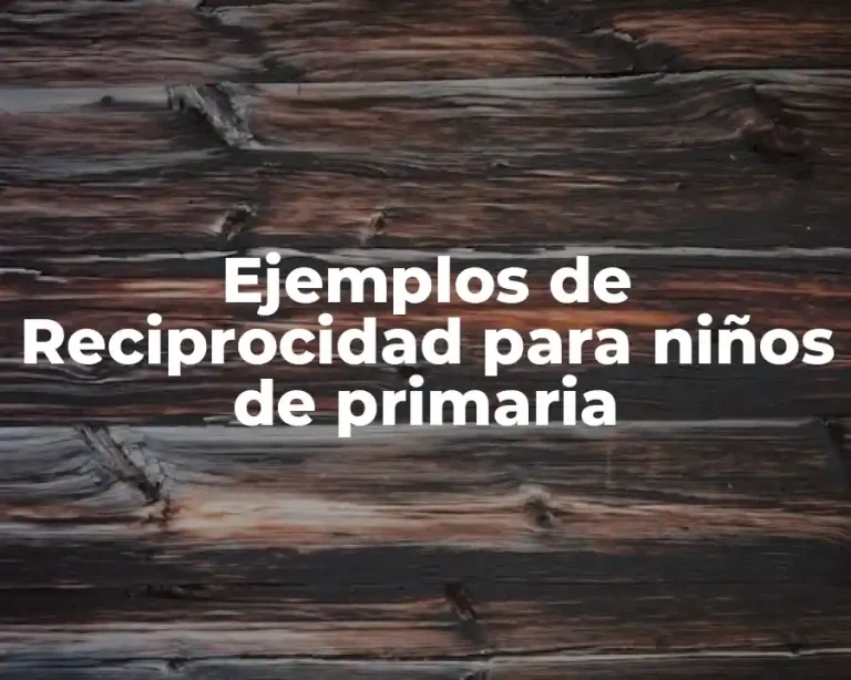 Ejemplos de Reciprocidad para niños de primaria