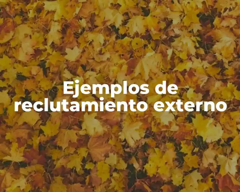 Ejemplos de reclutamiento externo