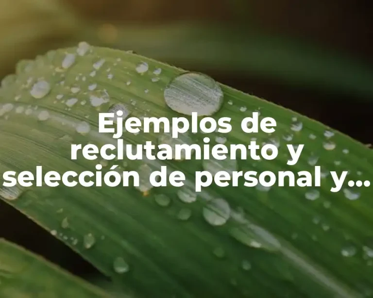 Ejemplos de reclutamiento y selección de personal y Significado