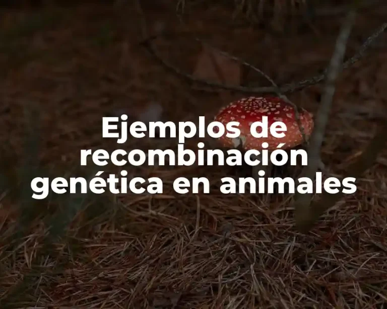 Ejemplos de recombinación genética en animales