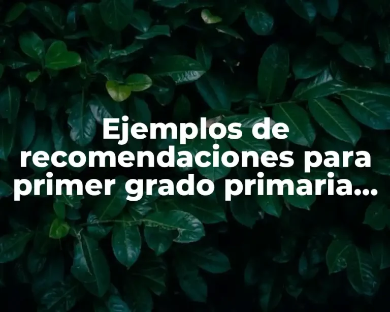 Ejemplos de recomendaciones para primer grado primaria en fichas descriptivas y Significado