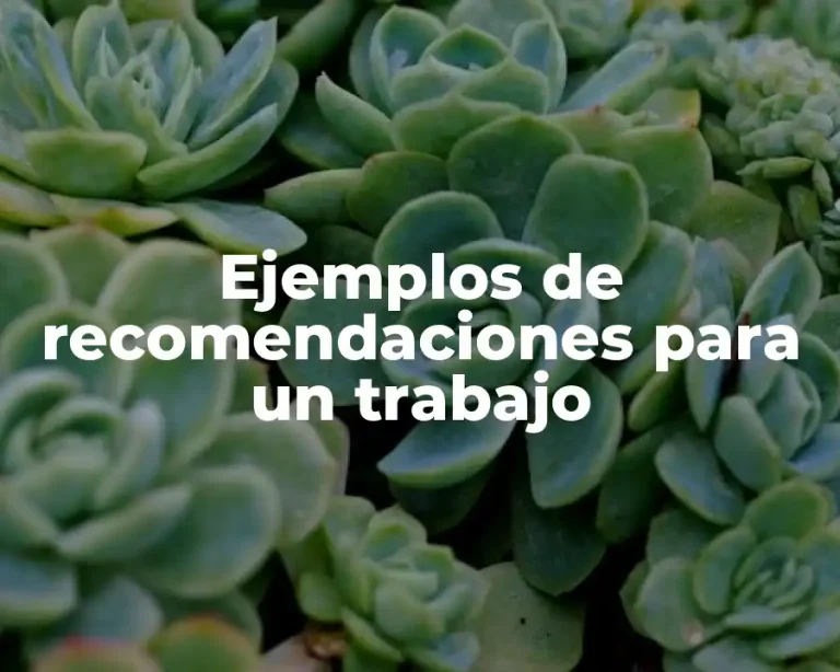 Ejemplos de recomendaciones para un trabajo