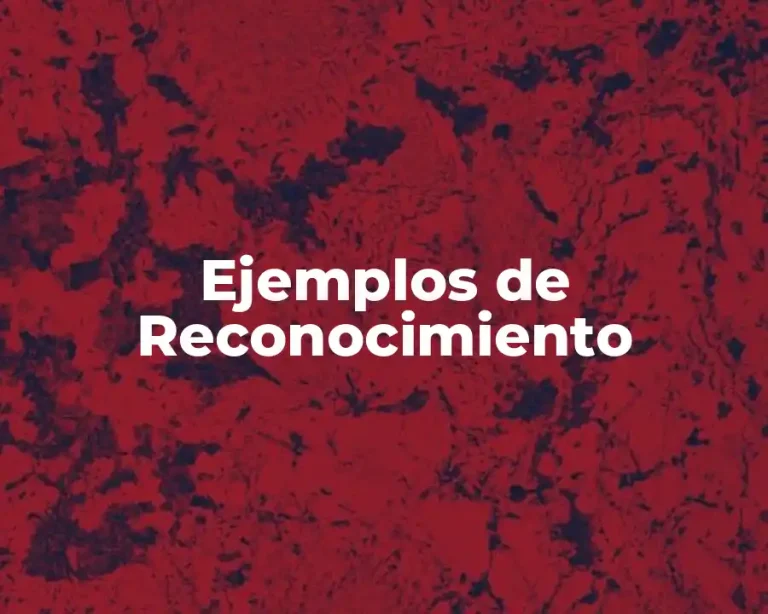 Ejemplos de Reconocimiento