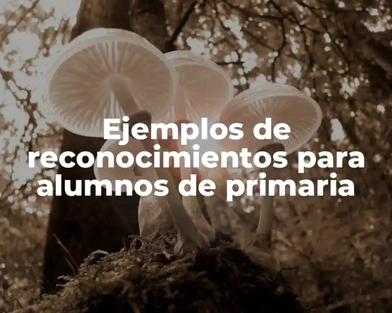 Ejemplos de reconocimientos para alumnos de primaria