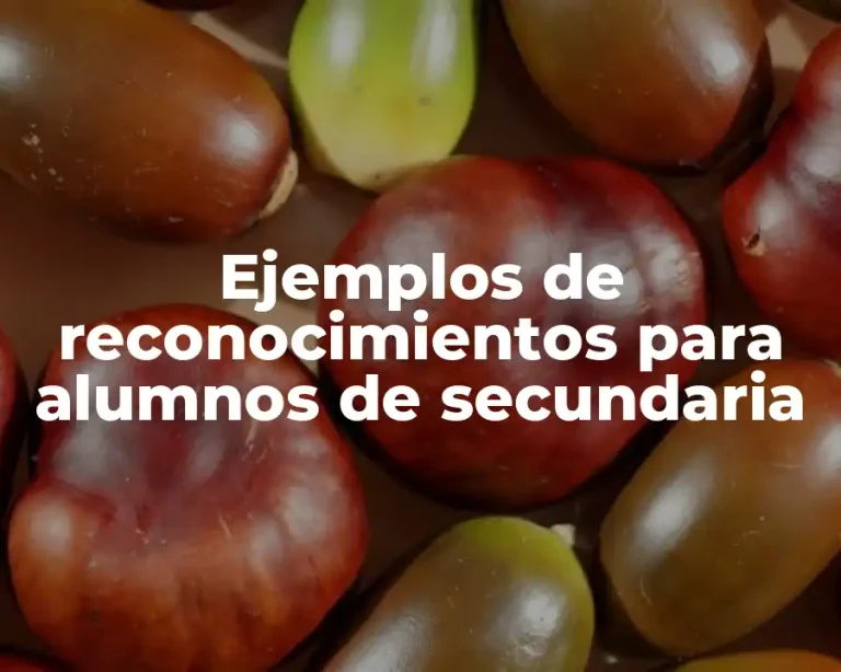 Ejemplos de reconocimientos para alumnos de secundaria