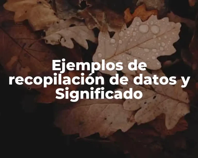 Ejemplos de recopilación de datos y Significado