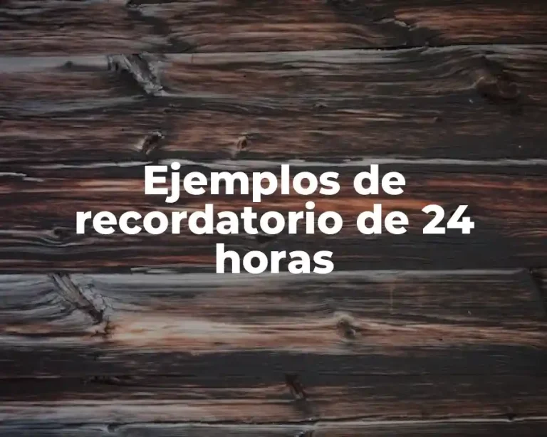 Ejemplos de recordatorio de 24 horas
