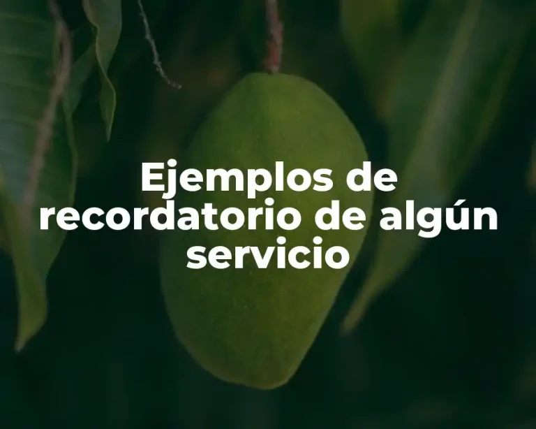 Ejemplos de recordatorio de algún servicio