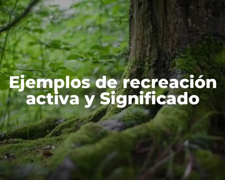 Ejemplos de recreación activa y Significado