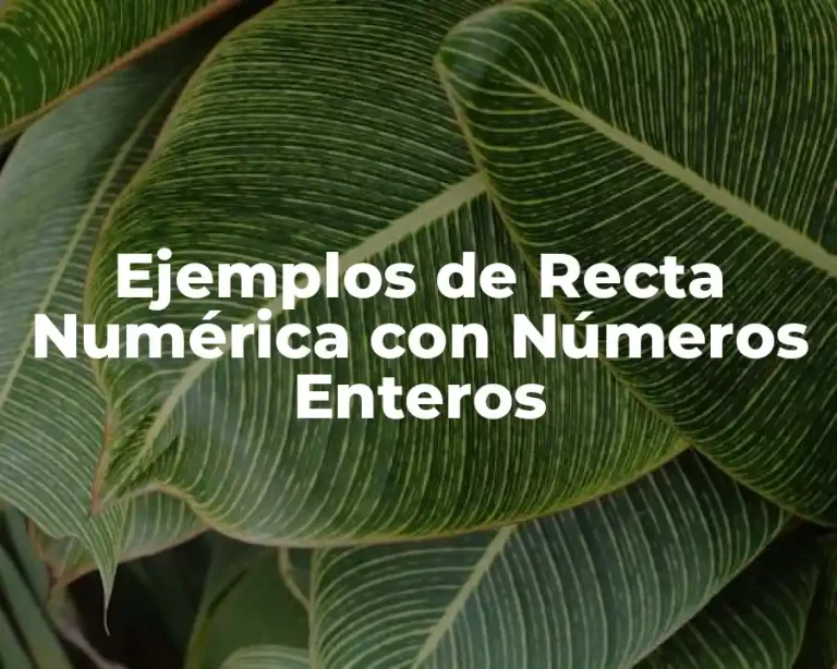 Ejemplos de Recta Numérica con Números Enteros
