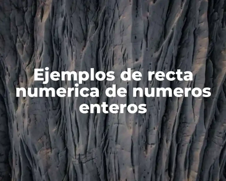 Ejemplos de recta numerica de numeros enteros