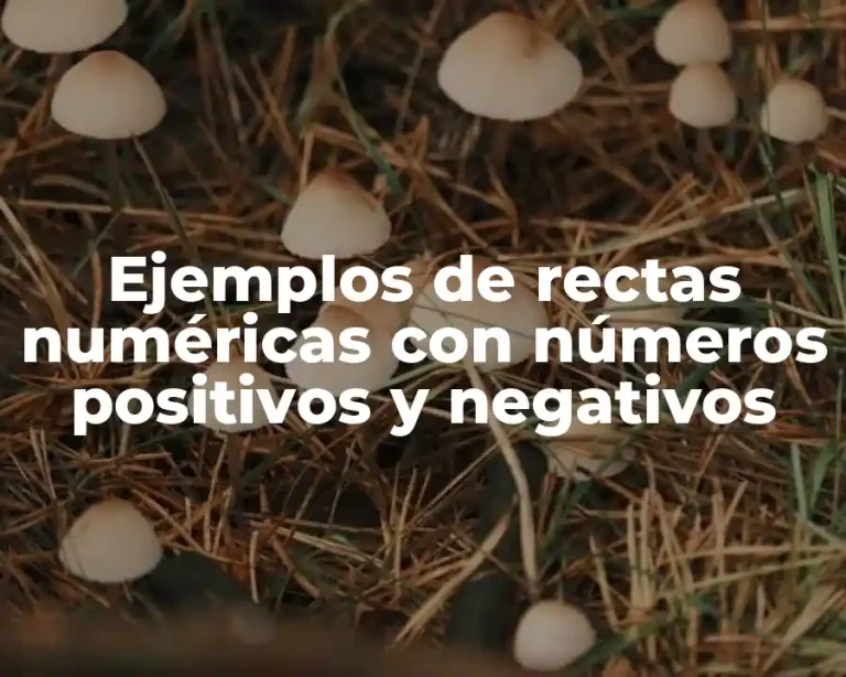 Ejemplos de rectas numéricas con números positivos y negativos