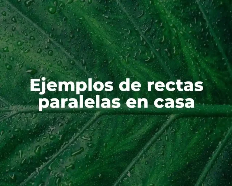 Ejemplos de rectas paralelas en casa