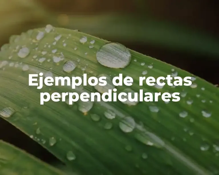 Ejemplos de rectas perpendiculares