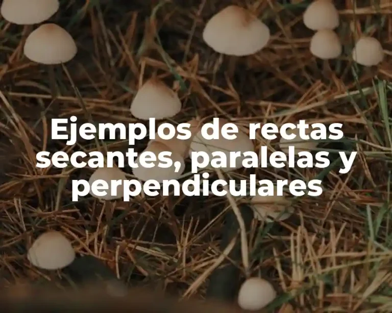 Ejemplos de rectas secantes, paralelas y perpendiculares