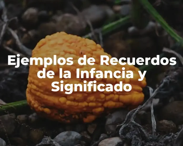 Ejemplos de Recuerdos de la Infancia y Significado