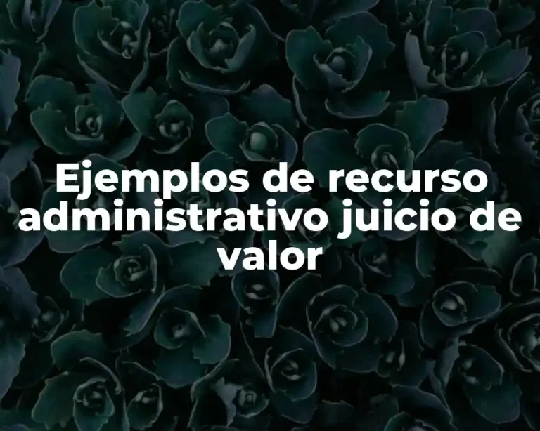 Ejemplos de recurso administrativo juicio de valor