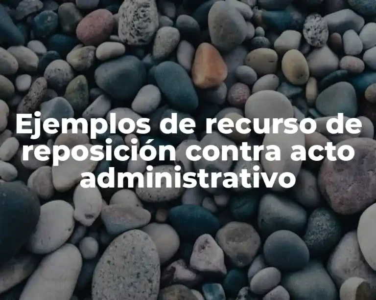 Ejemplos de recurso de reposición contra acto administrativo