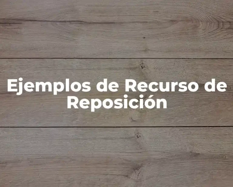 Ejemplos de Recurso de Reposición
