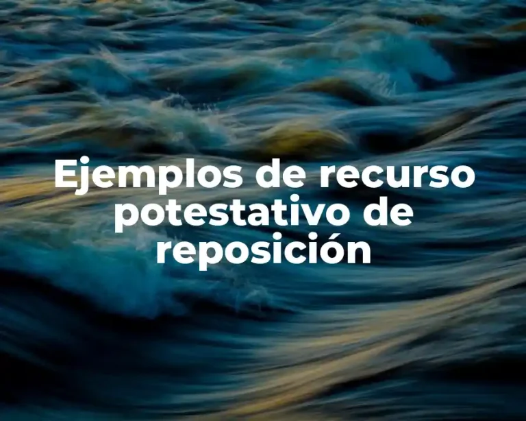Ejemplos de recurso potestativo de reposición