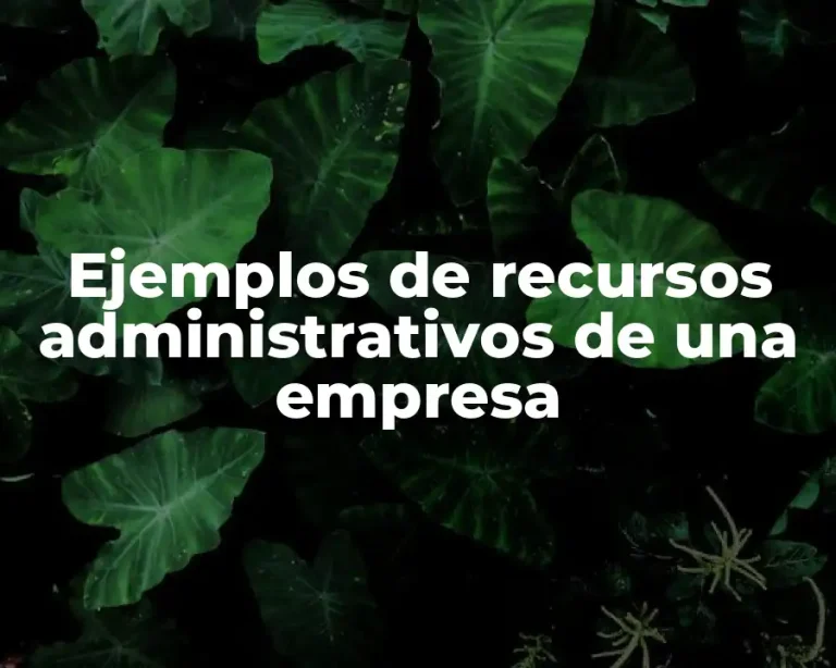 Ejemplos de recursos administrativos de una empresa