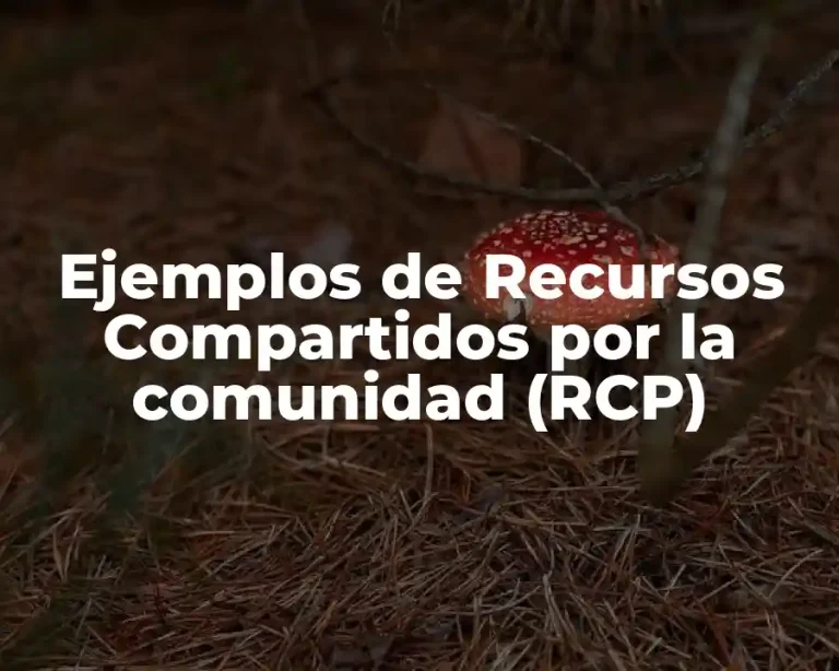 Ejemplos de Recursos Compartidos por la comunidad (RCP)