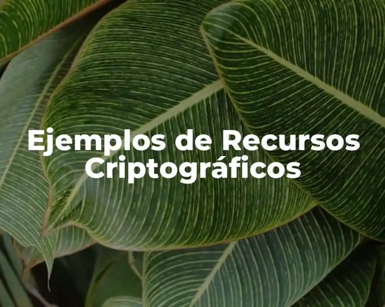 Ejemplos de Recursos Criptográficos