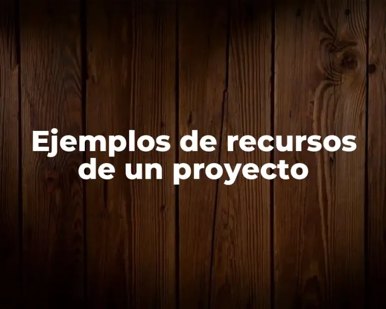 Ejemplos de recursos de un proyecto