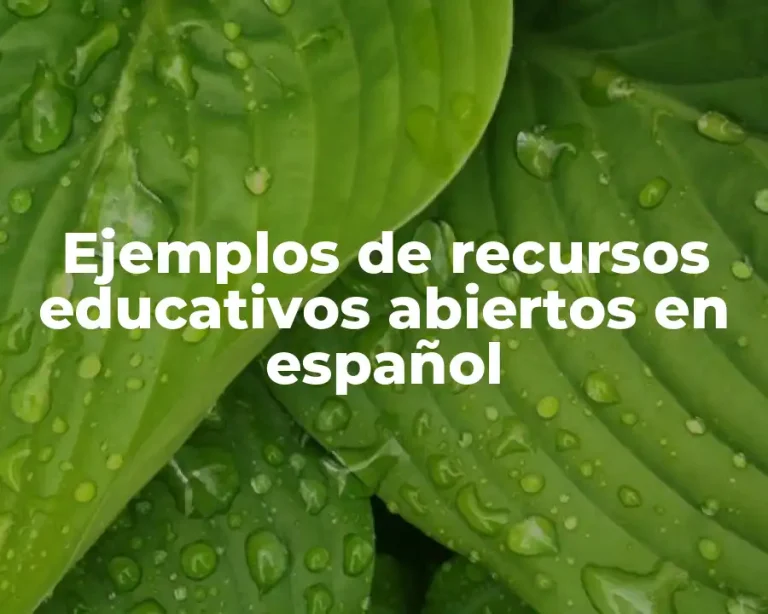 Ejemplos de recursos educativos abiertos en español