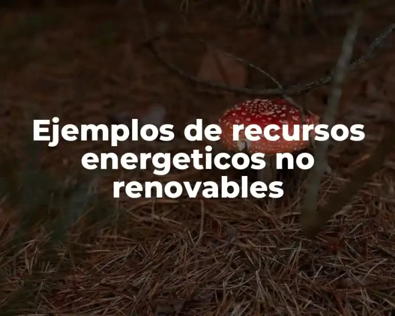 Ejemplos de recursos energeticos no renovables