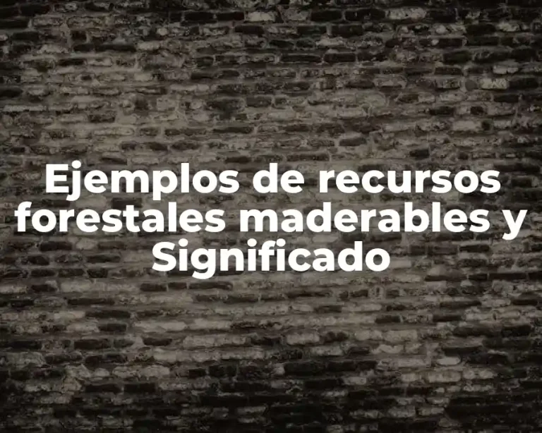 Ejemplos de recursos forestales maderables y Significado