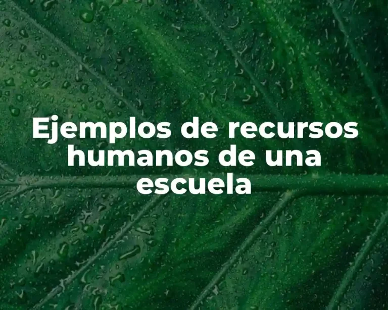 Ejemplos de recursos humanos de una escuela
