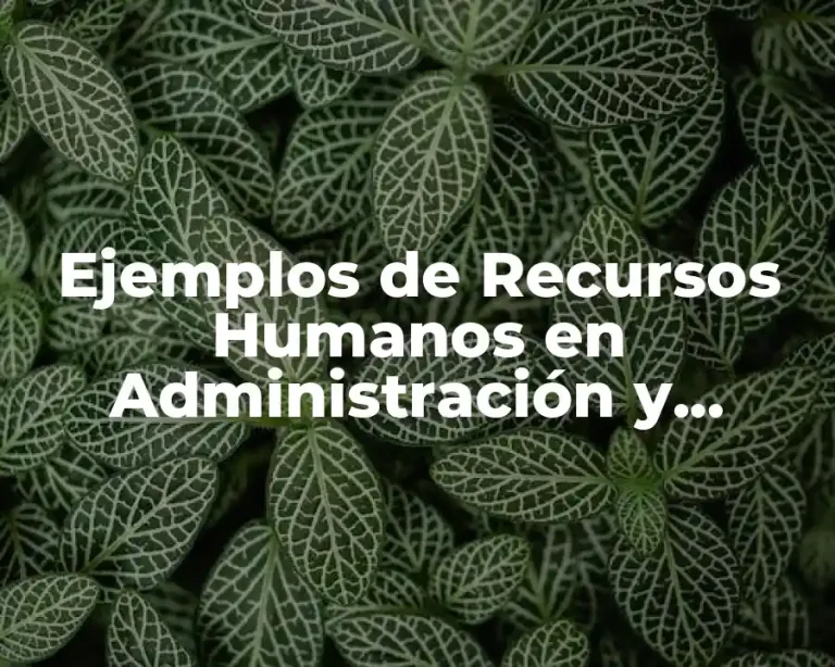 Ejemplos de Recursos Humanos en Administración y Significado