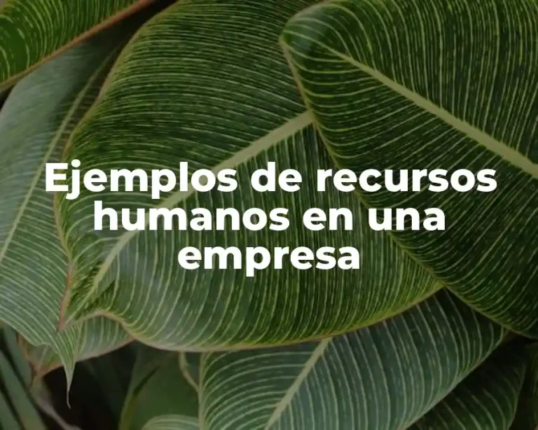 Ejemplos de recursos humanos en una empresa