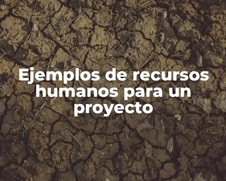 Ejemplos de recursos humanos para un proyecto