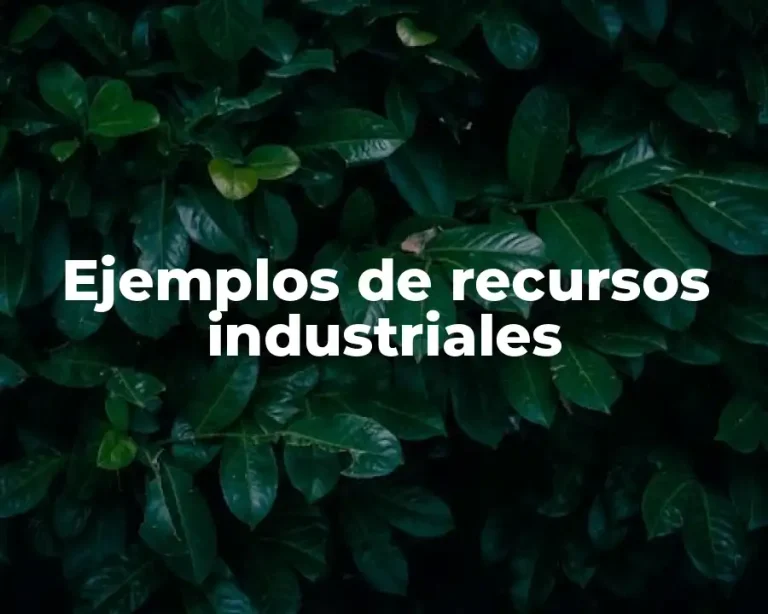 Ejemplos de recursos industriales