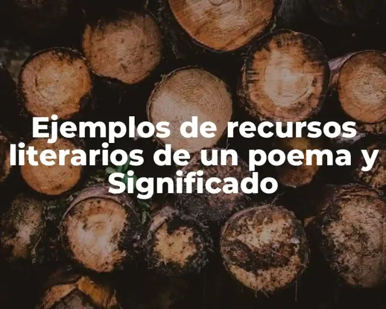 Ejemplos de recursos literarios de un poema y Significado