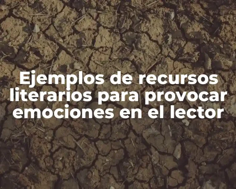 Ejemplos de recursos literarios para provocar emociones en el lector