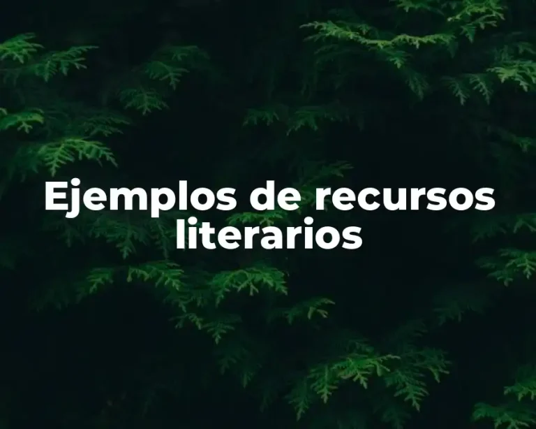 Ejemplos de recursos literarios