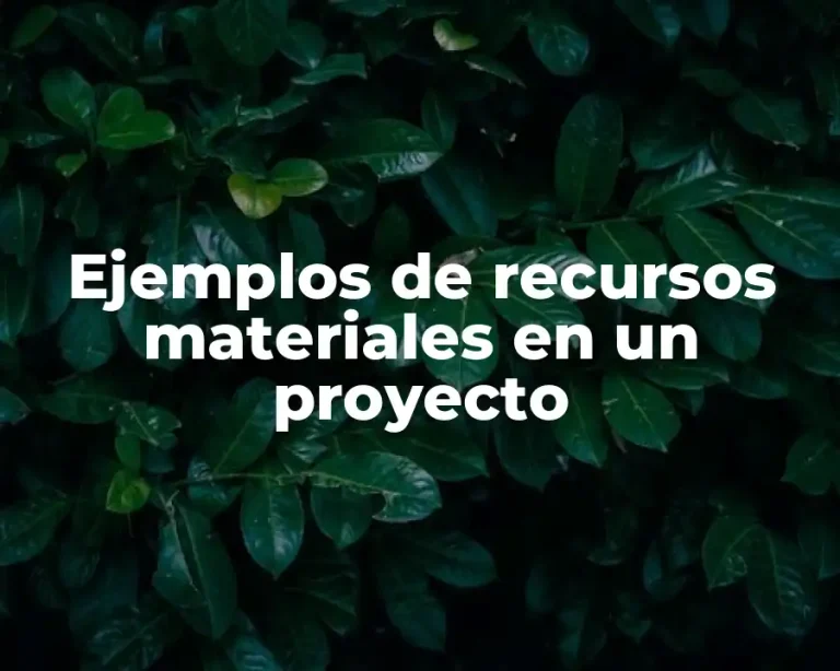 Ejemplos de recursos materiales en un proyecto