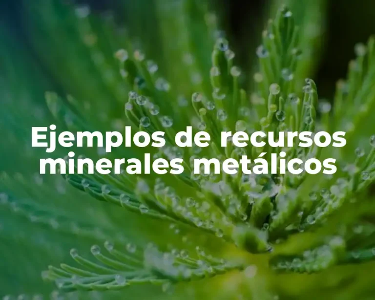 Ejemplos de recursos minerales metálicos