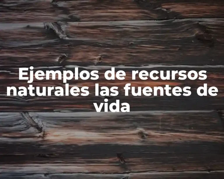 Ejemplos de recursos naturales las fuentes de vida