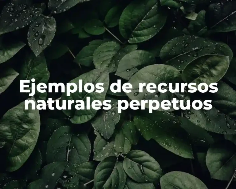 Ejemplos de recursos naturales perpetuos