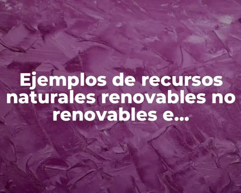 Ejemplos de recursos naturales renovables no renovables e inagotables