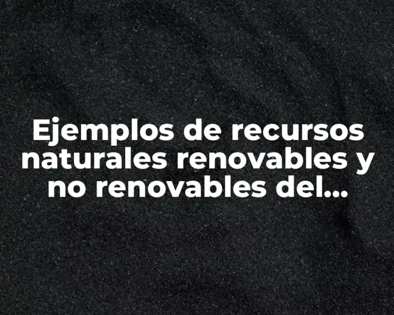 Ejemplos de recursos naturales renovables y no renovables del Ecuador y Significado